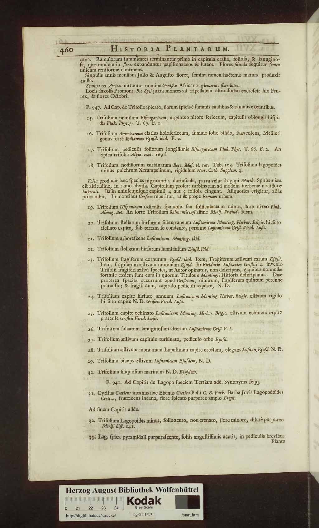 http://diglib.hab.de/drucke/ng-2f-13-3/00474.jpg