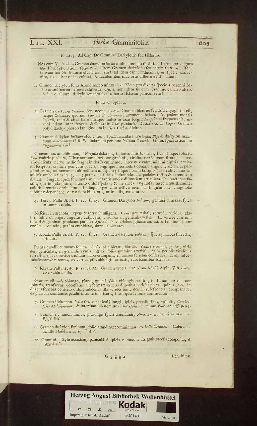http://diglib.hab.de/drucke/ng-2f-13-3/00619.jpg