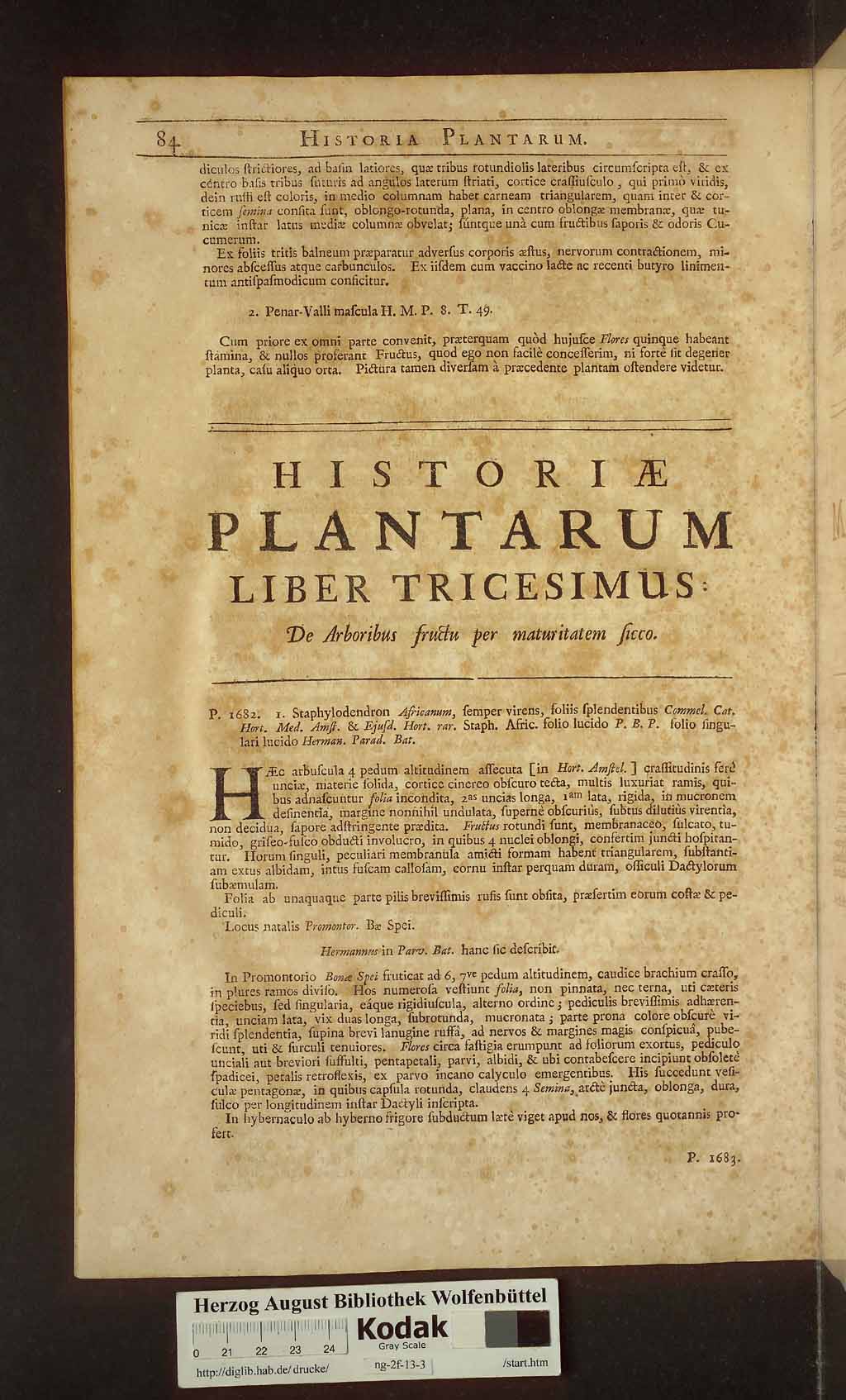http://diglib.hab.de/drucke/ng-2f-13-3/00764.jpg