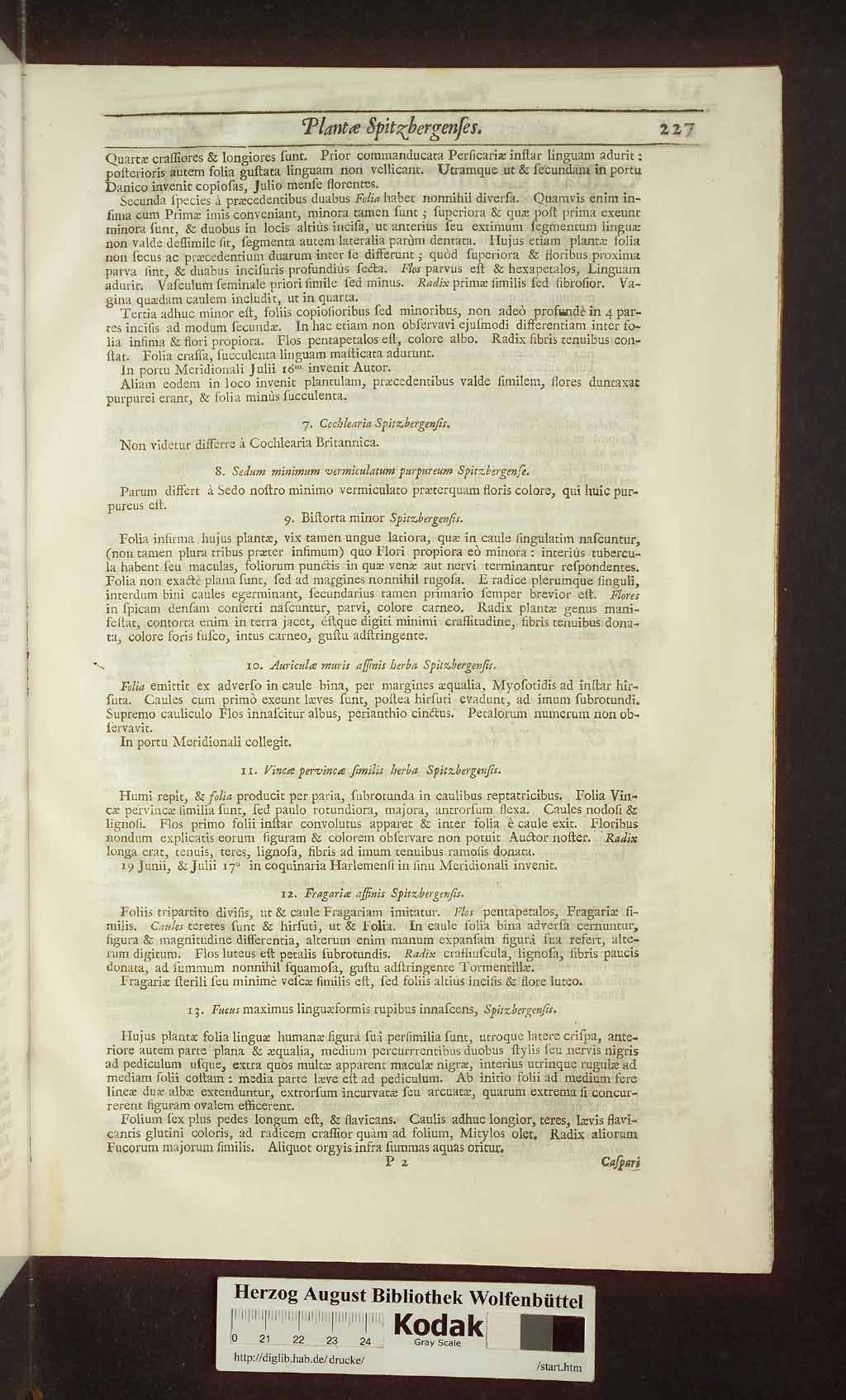 http://diglib.hab.de/drucke/ng-2f-13-3/00931.jpg