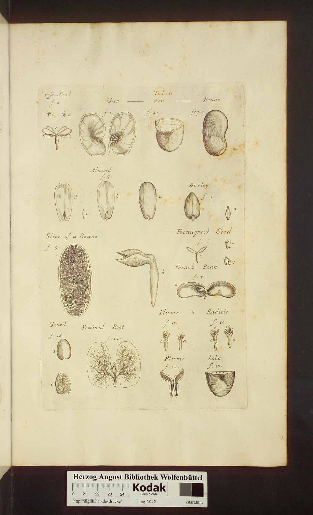 http://diglib.hab.de/drucke/ng-2f-42/00381.jpg