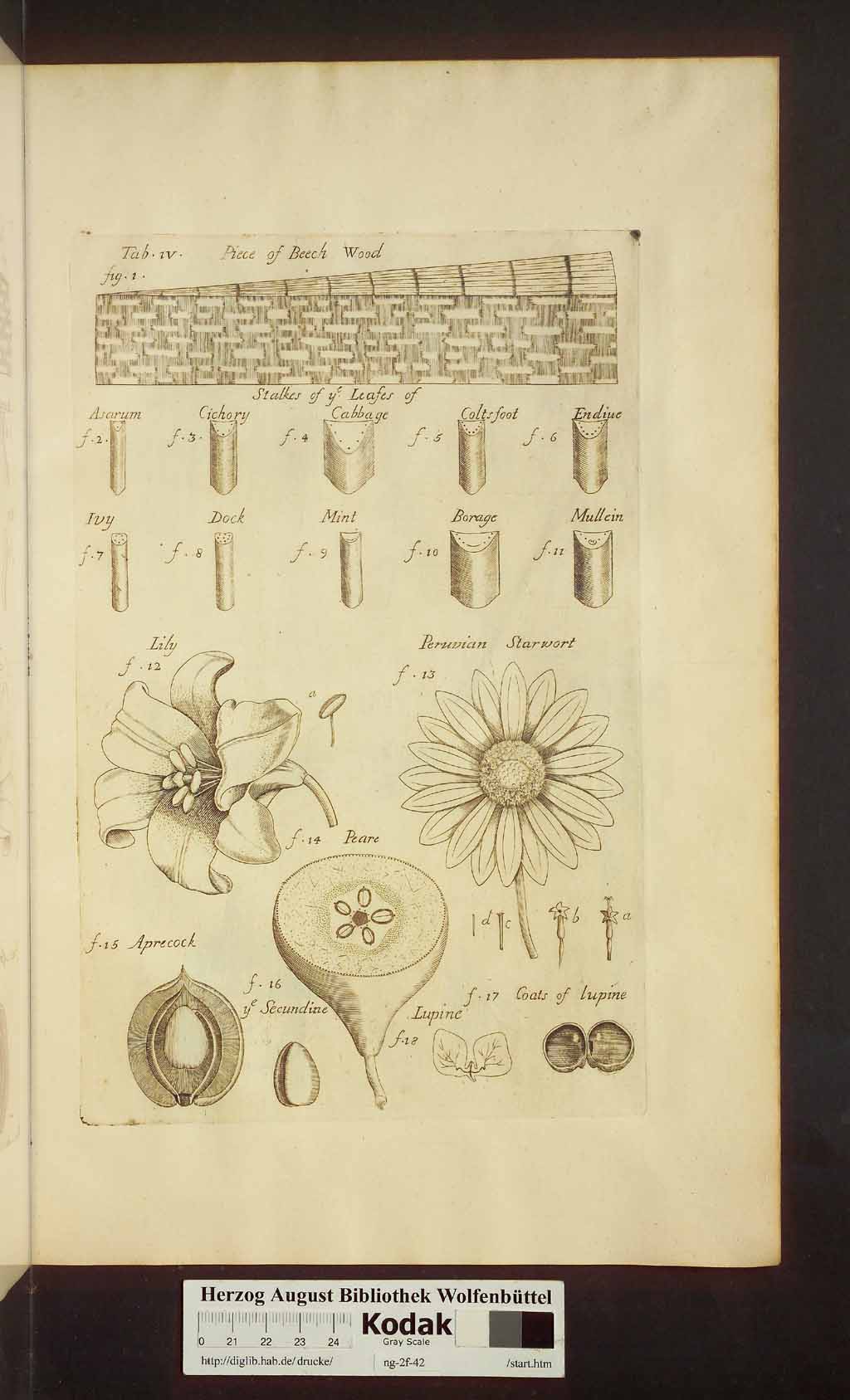 http://diglib.hab.de/drucke/ng-2f-42/00387.jpg