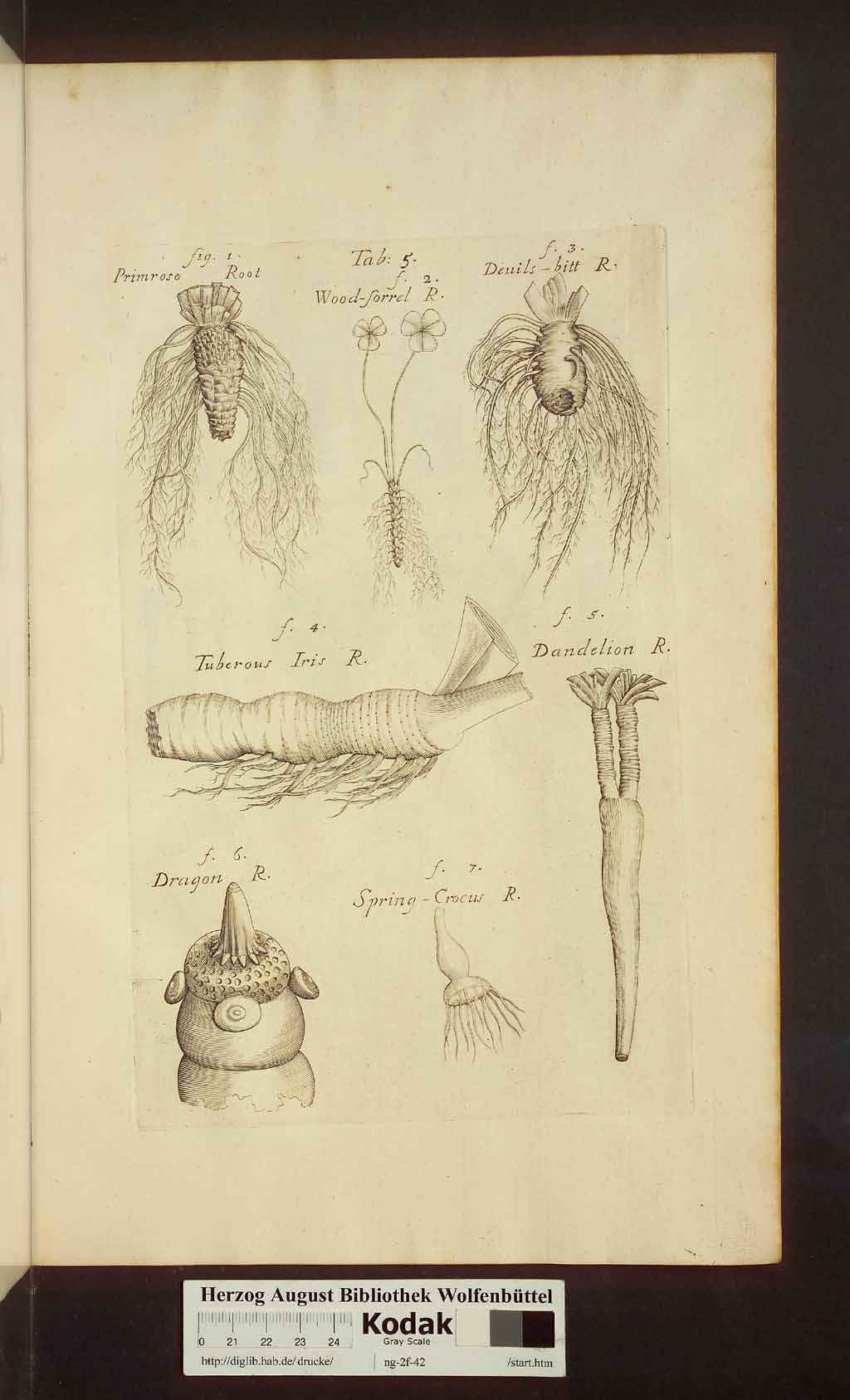 http://diglib.hab.de/drucke/ng-2f-42/00389.jpg