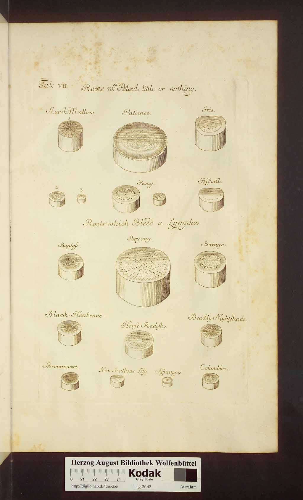 http://diglib.hab.de/drucke/ng-2f-42/00393.jpg