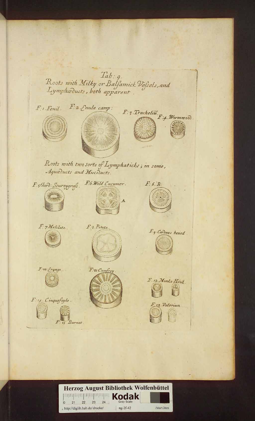 http://diglib.hab.de/drucke/ng-2f-42/00397.jpg