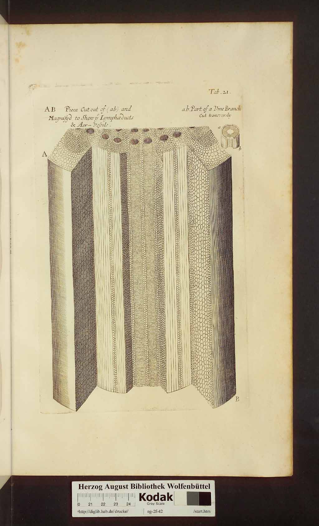 http://diglib.hab.de/drucke/ng-2f-42/00429.jpg