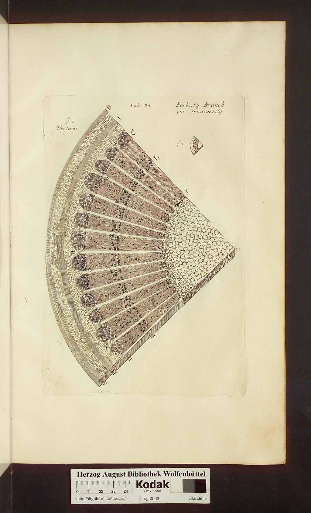 http://diglib.hab.de/drucke/ng-2f-42/00435.jpg