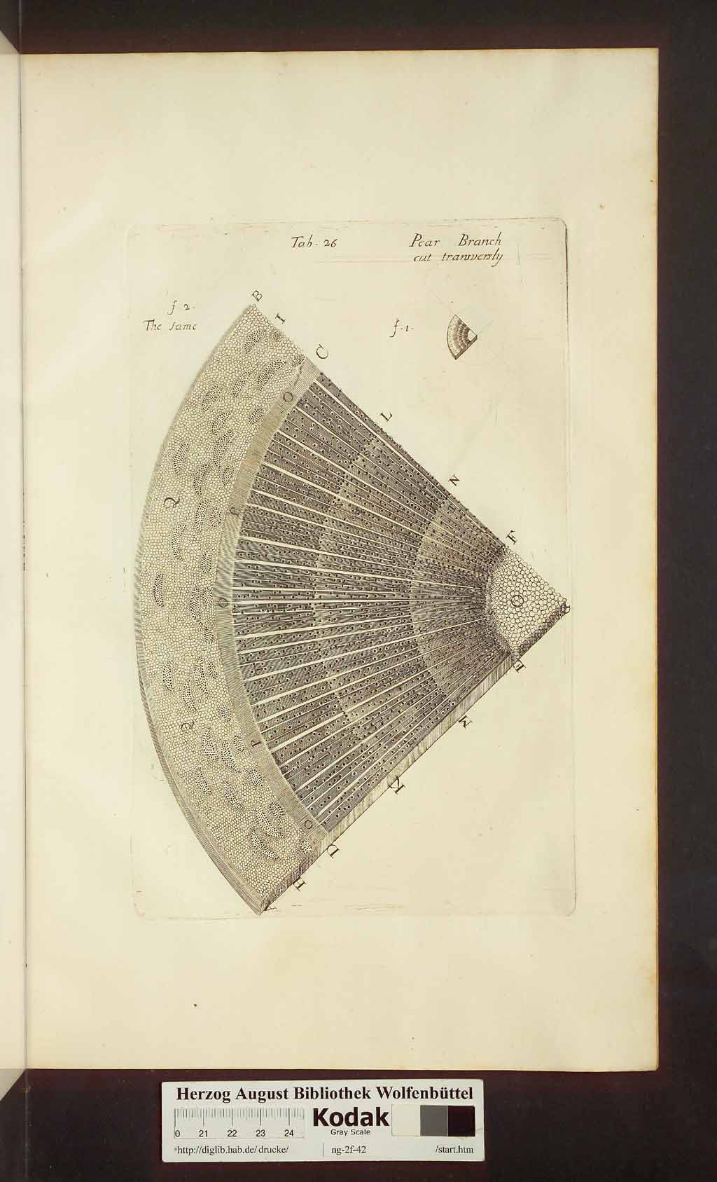 http://diglib.hab.de/drucke/ng-2f-42/00439.jpg