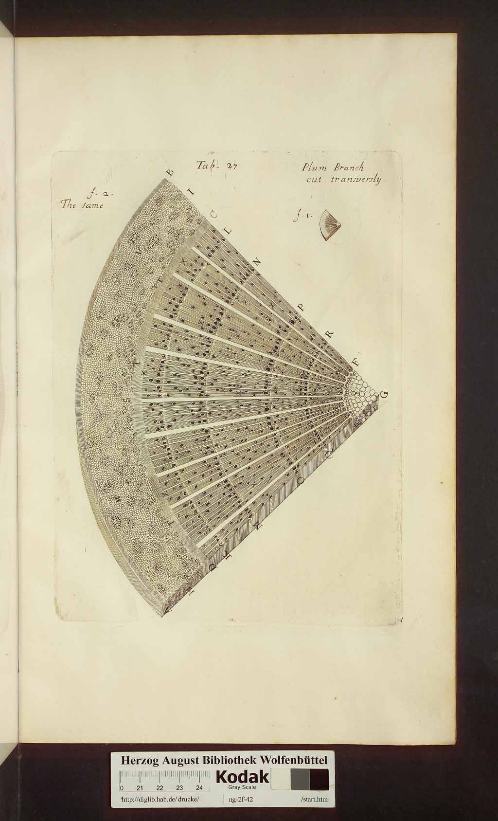 http://diglib.hab.de/drucke/ng-2f-42/00441.jpg