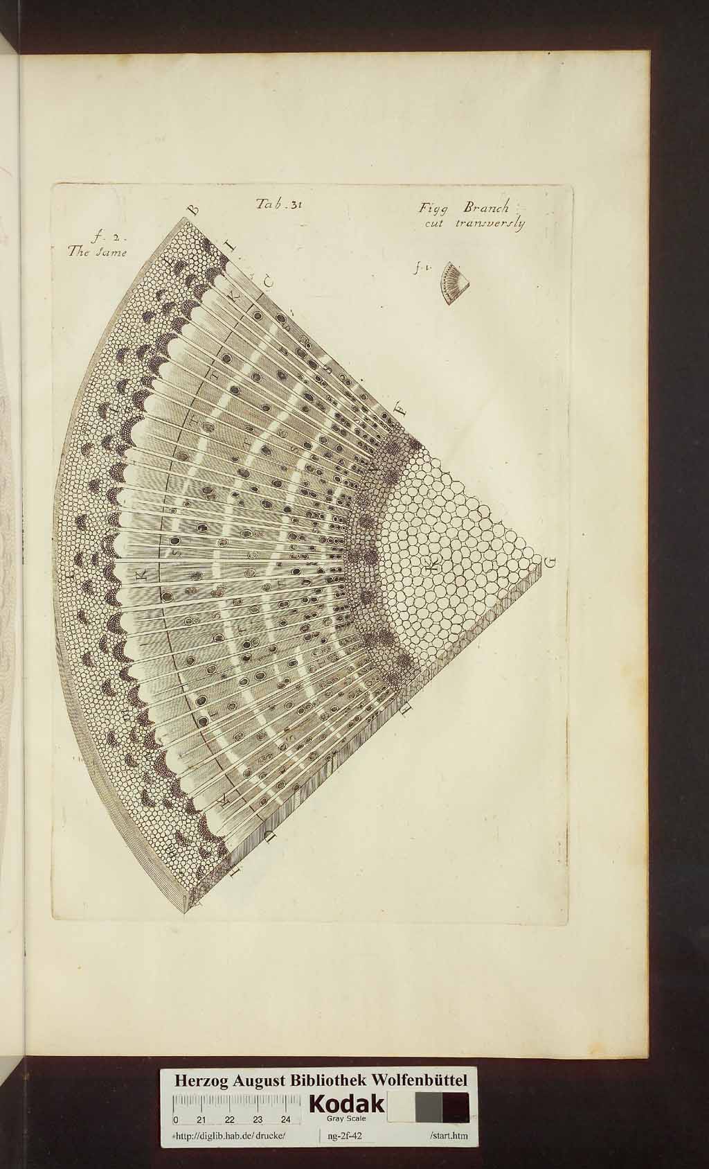 http://diglib.hab.de/drucke/ng-2f-42/00449.jpg