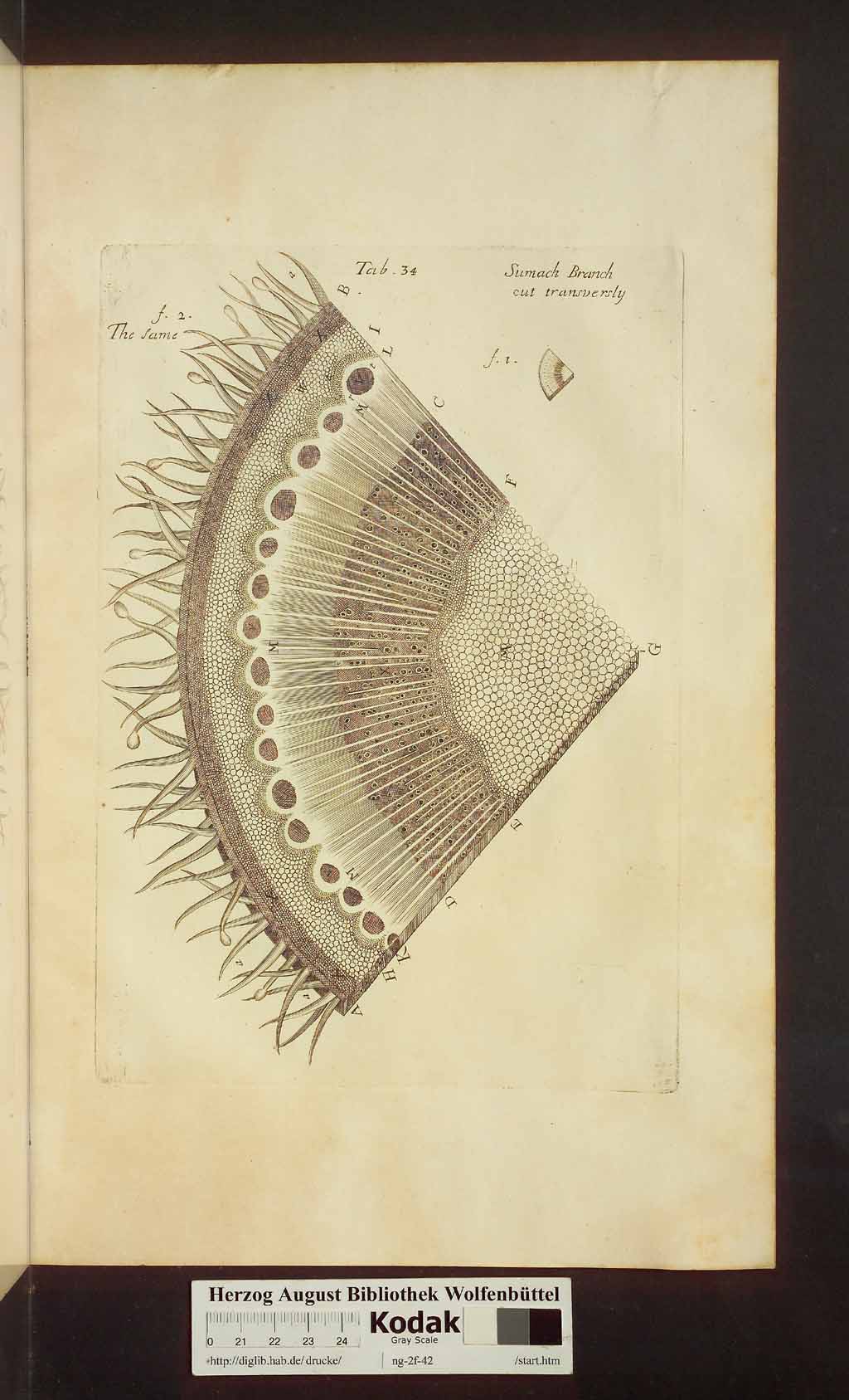 http://diglib.hab.de/drucke/ng-2f-42/00455.jpg