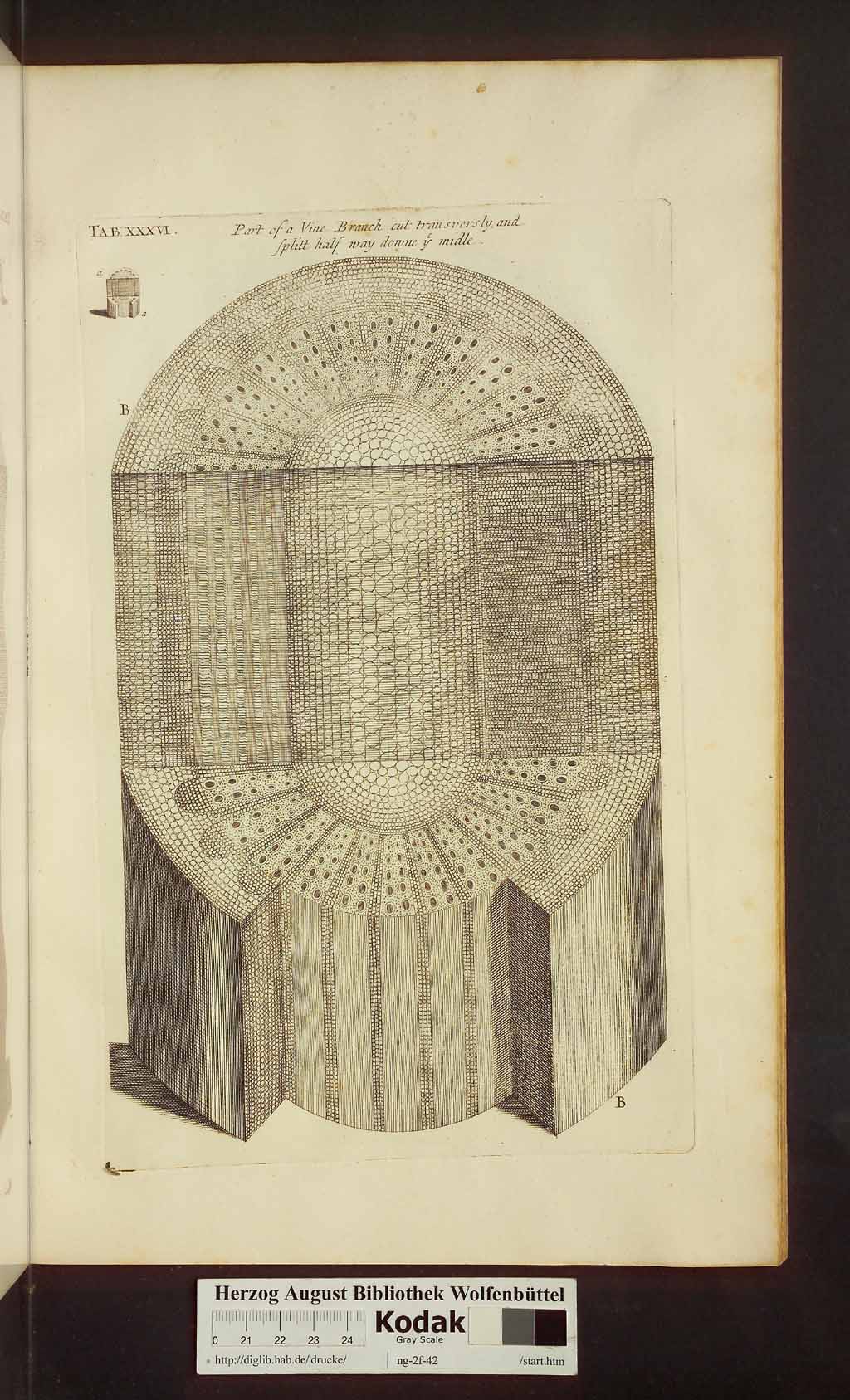 http://diglib.hab.de/drucke/ng-2f-42/00459.jpg