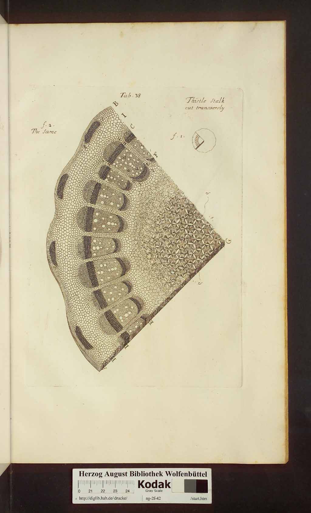 http://diglib.hab.de/drucke/ng-2f-42/00463.jpg