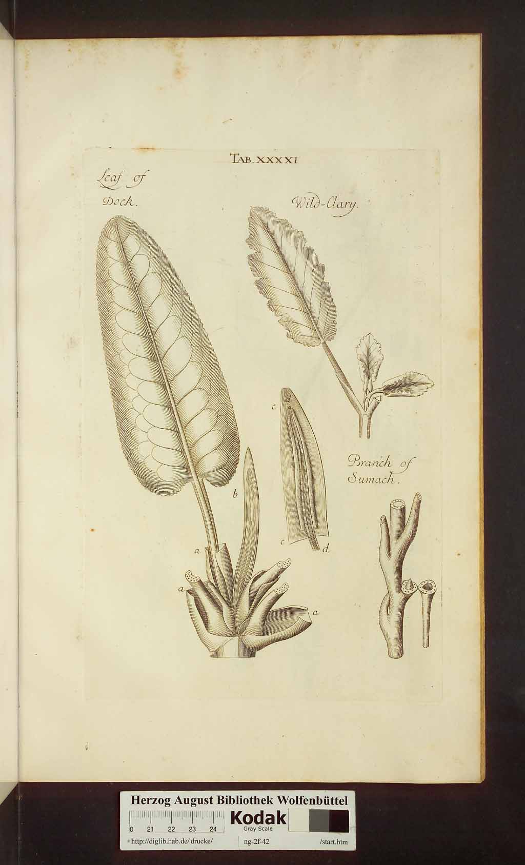 http://diglib.hab.de/drucke/ng-2f-42/00471.jpg