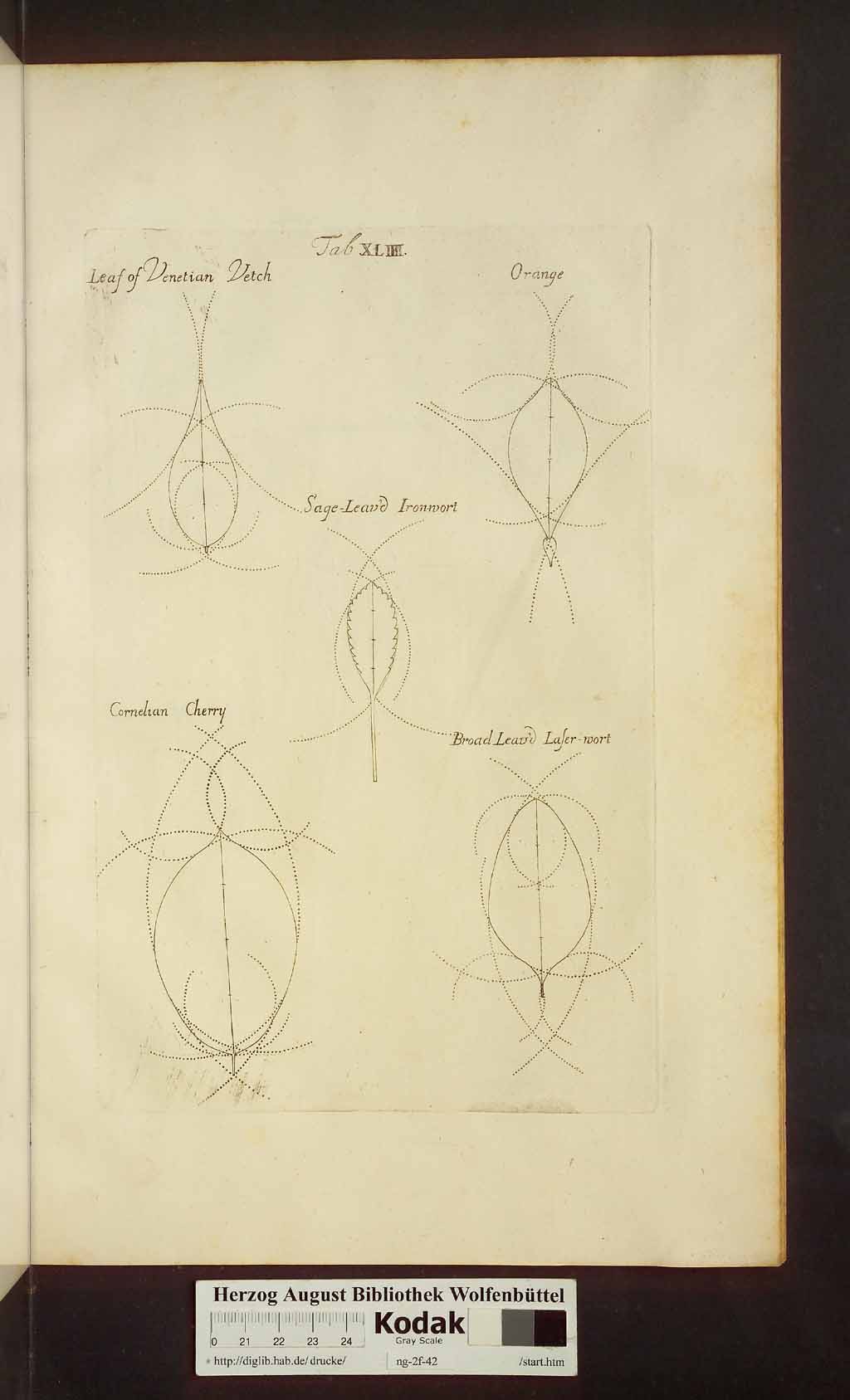 http://diglib.hab.de/drucke/ng-2f-42/00477.jpg