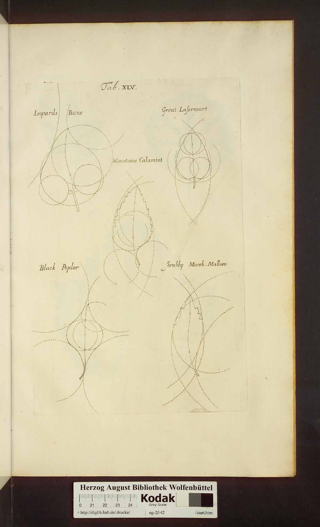 http://diglib.hab.de/drucke/ng-2f-42/00479.jpg