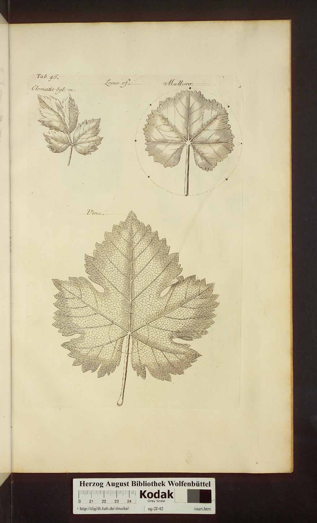 http://diglib.hab.de/drucke/ng-2f-42/00481.jpg