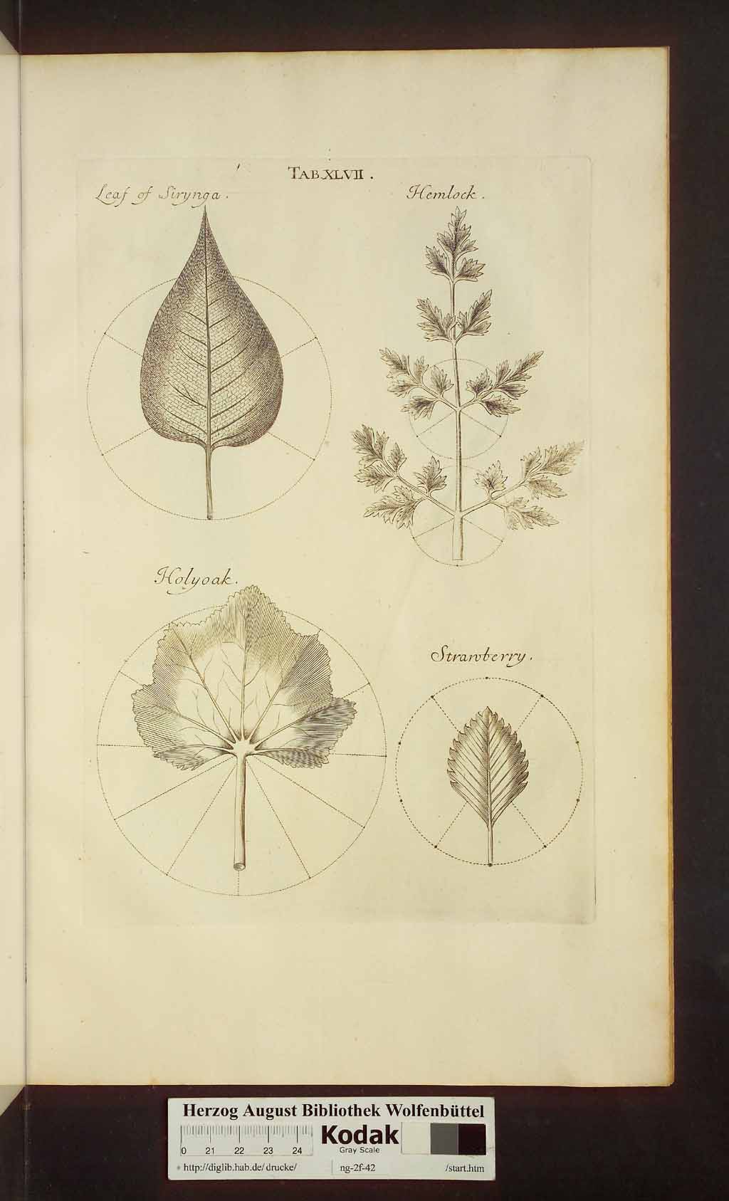 http://diglib.hab.de/drucke/ng-2f-42/00483.jpg