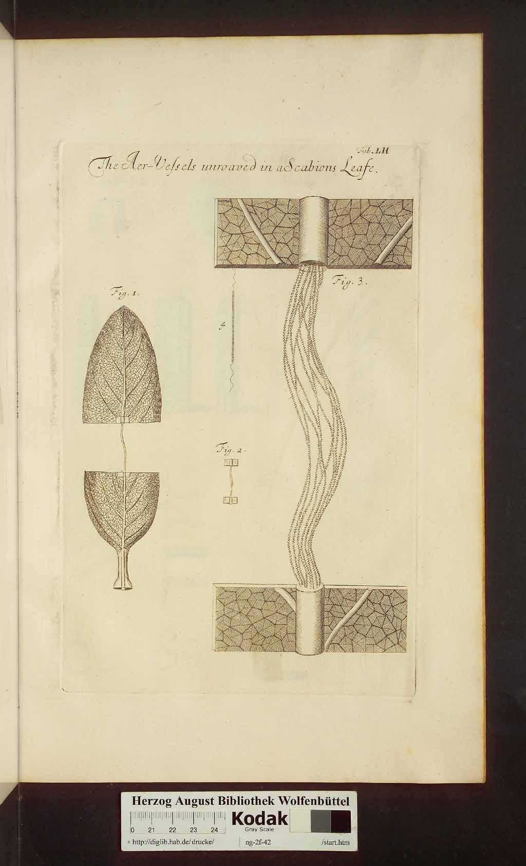 http://diglib.hab.de/drucke/ng-2f-42/00493.jpg