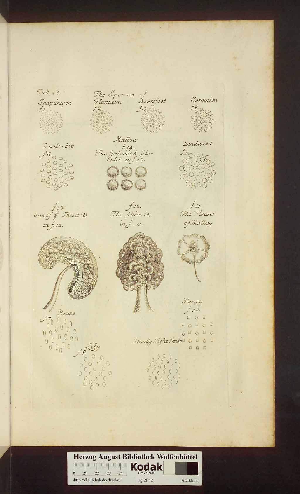 http://diglib.hab.de/drucke/ng-2f-42/00505.jpg