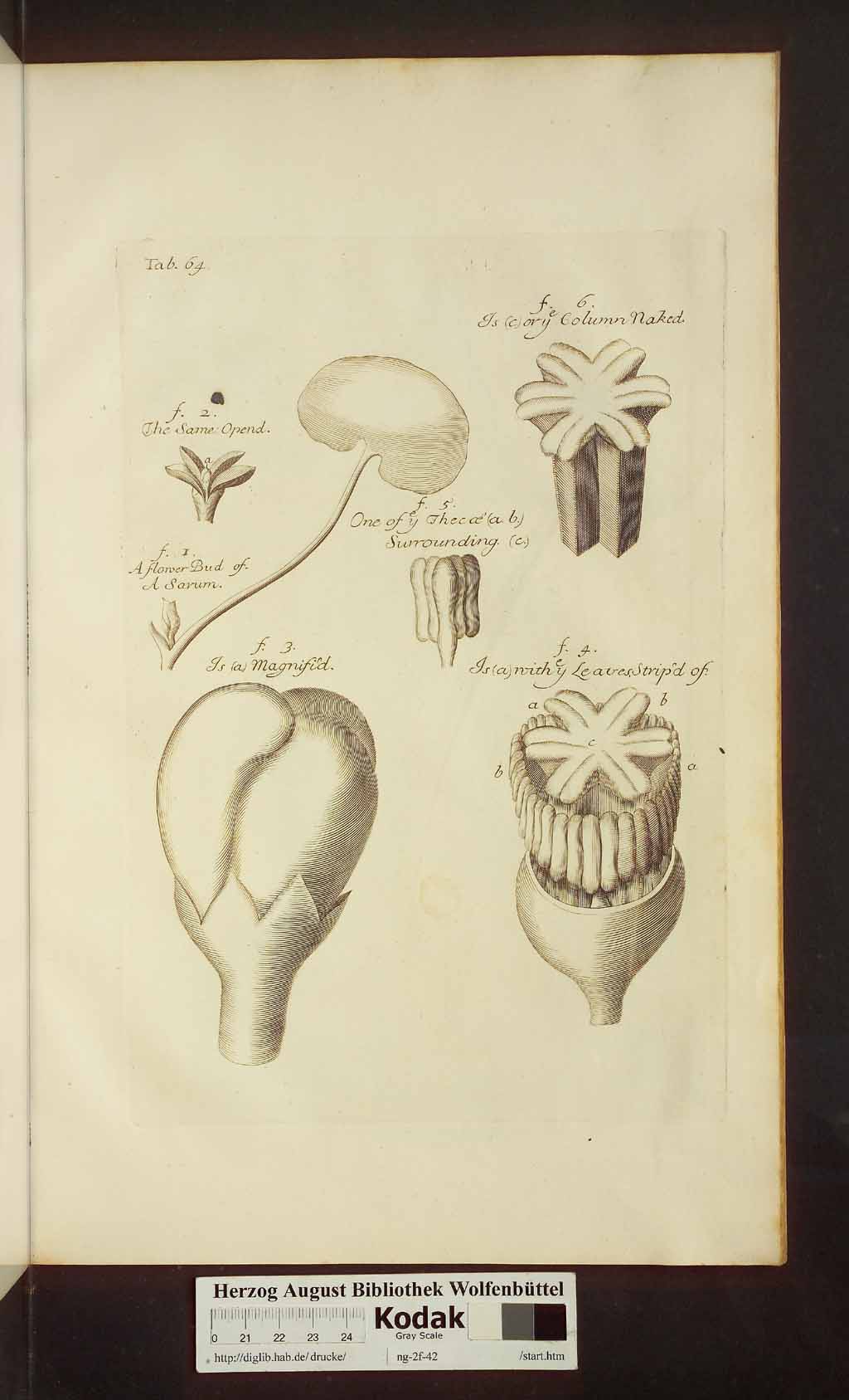 http://diglib.hab.de/drucke/ng-2f-42/00517.jpg