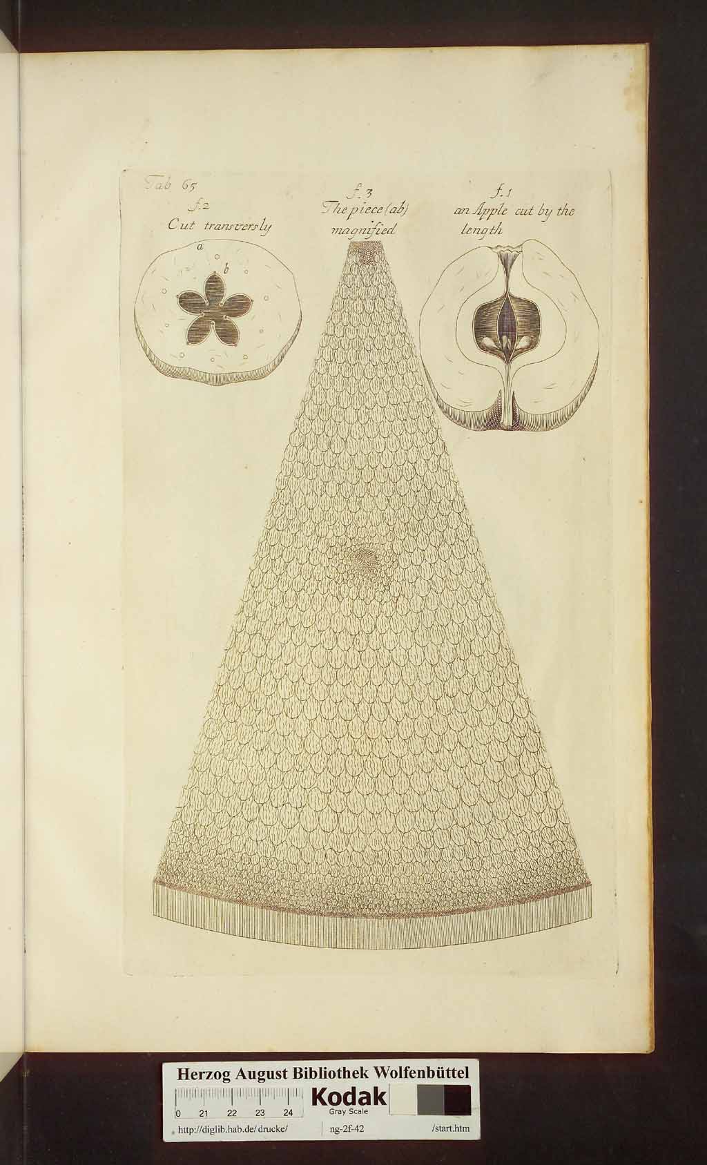 http://diglib.hab.de/drucke/ng-2f-42/00519.jpg