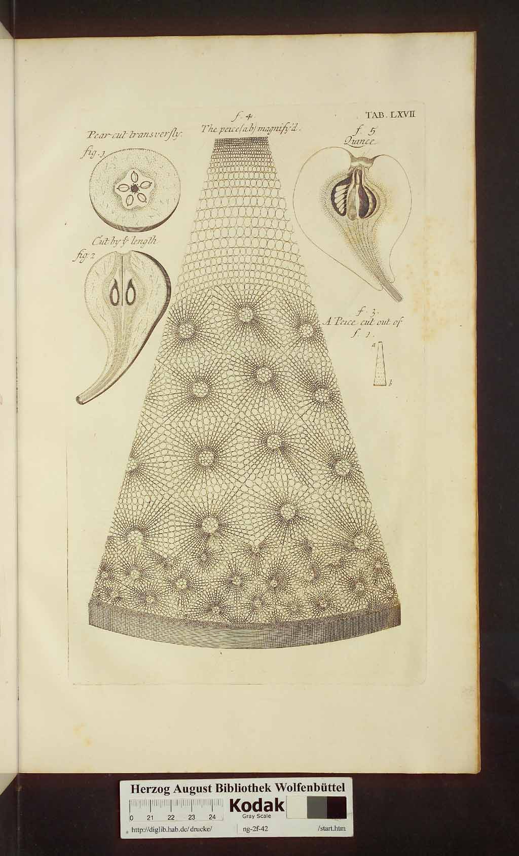 http://diglib.hab.de/drucke/ng-2f-42/00523.jpg