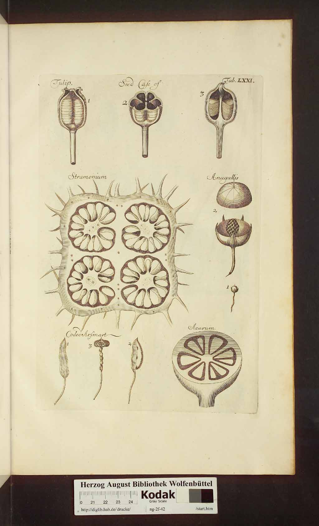 http://diglib.hab.de/drucke/ng-2f-42/00531.jpg
