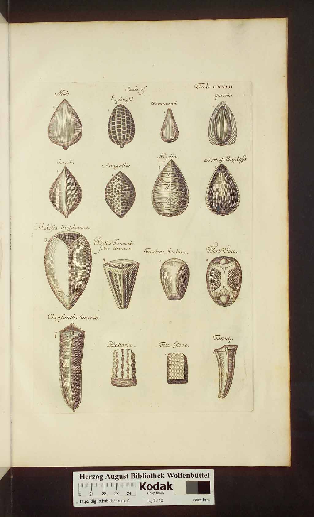 http://diglib.hab.de/drucke/ng-2f-42/00537.jpg