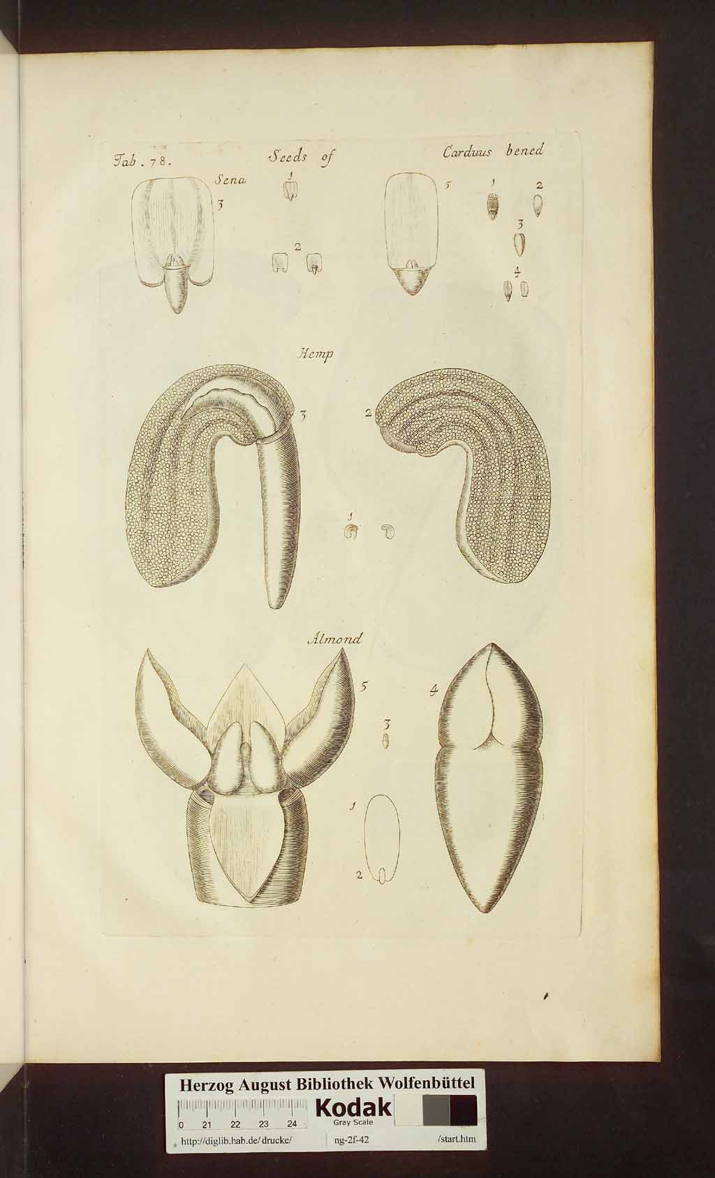 http://diglib.hab.de/drucke/ng-2f-42/00545.jpg