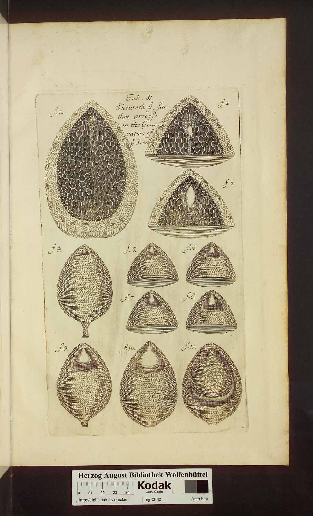 http://diglib.hab.de/drucke/ng-2f-42/00551.jpg