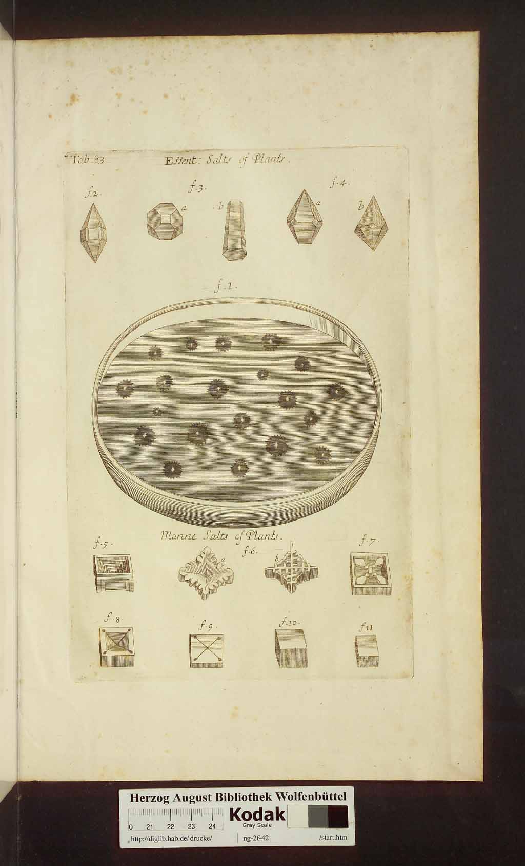 http://diglib.hab.de/drucke/ng-2f-42/00555.jpg