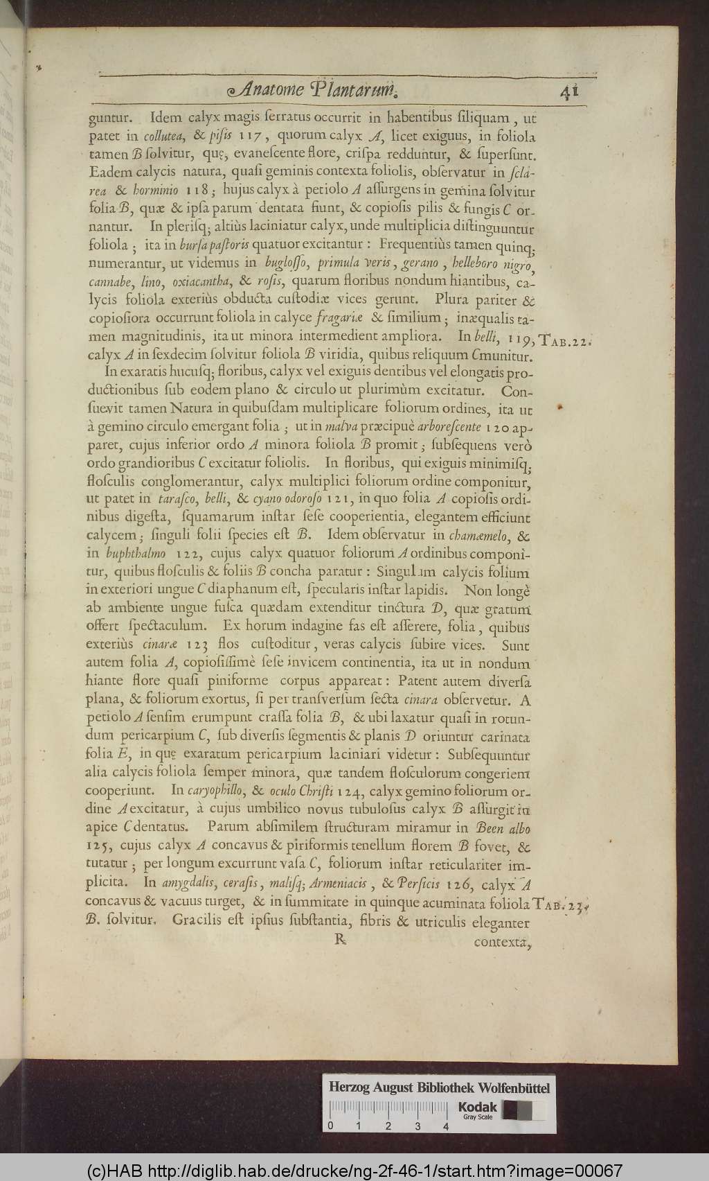 http://diglib.hab.de/drucke/ng-2f-46-1/00067.jpg