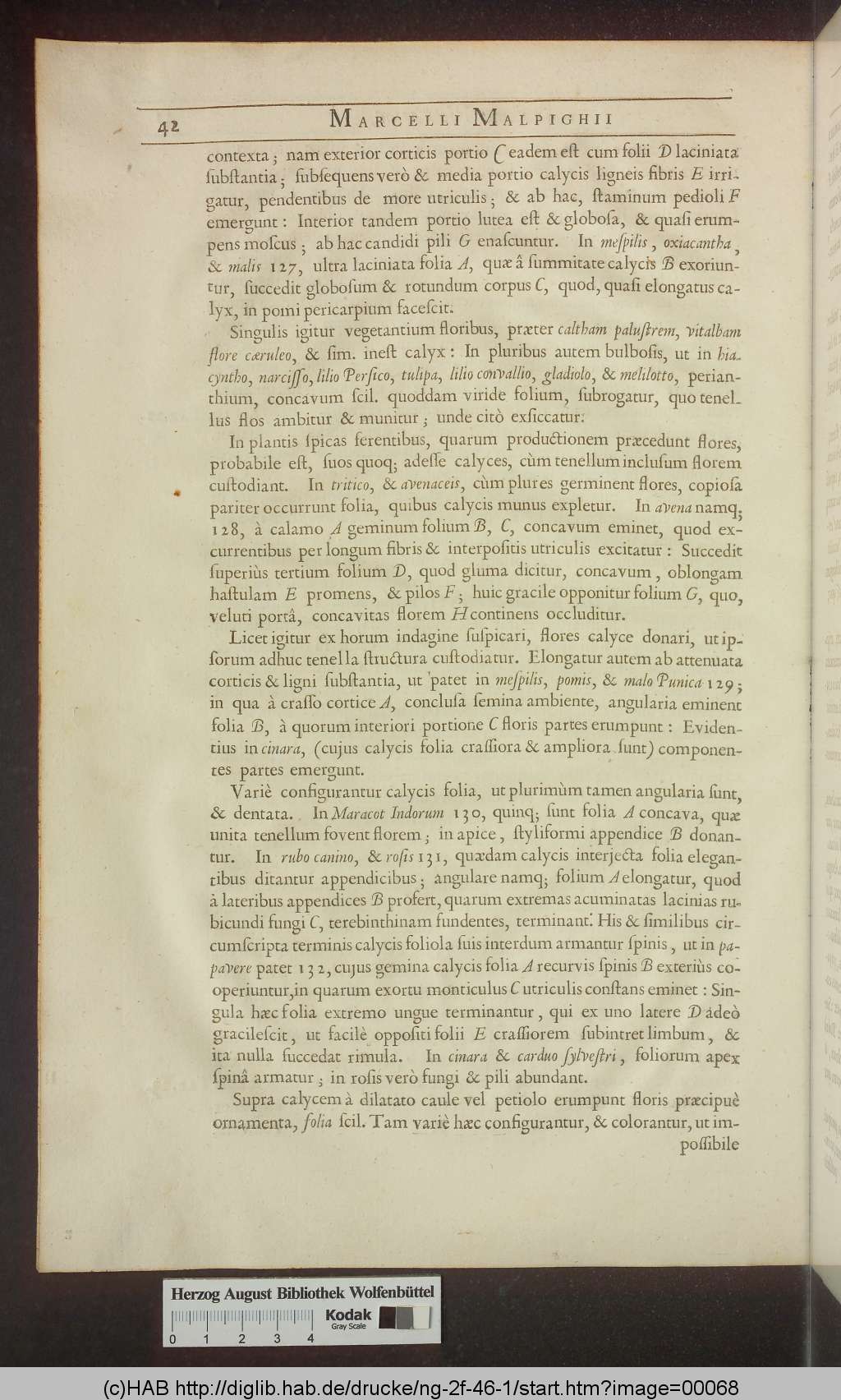 http://diglib.hab.de/drucke/ng-2f-46-1/00068.jpg