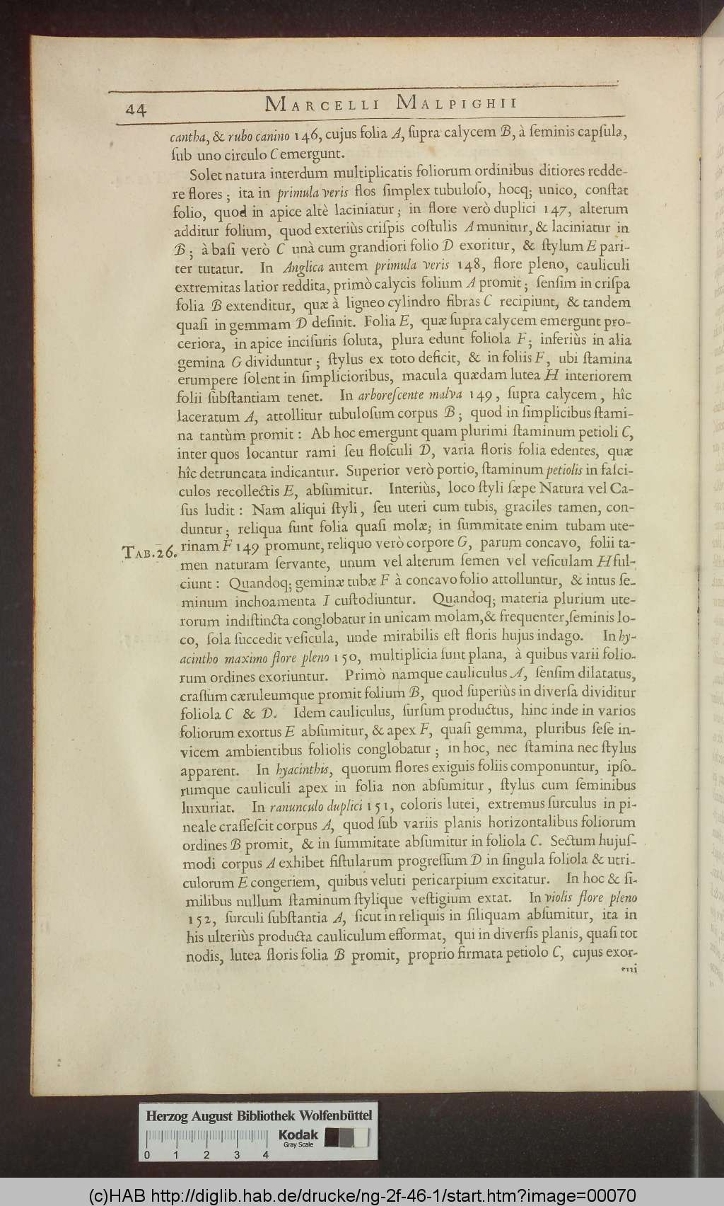 http://diglib.hab.de/drucke/ng-2f-46-1/00070.jpg