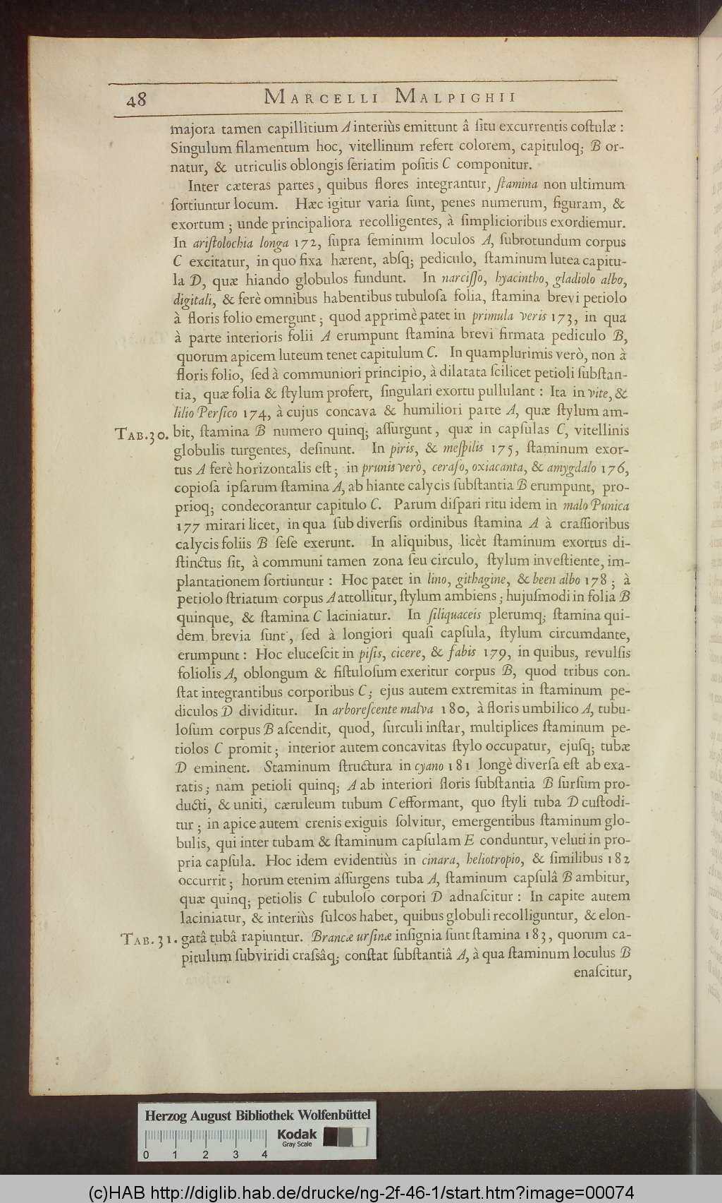 http://diglib.hab.de/drucke/ng-2f-46-1/00074.jpg