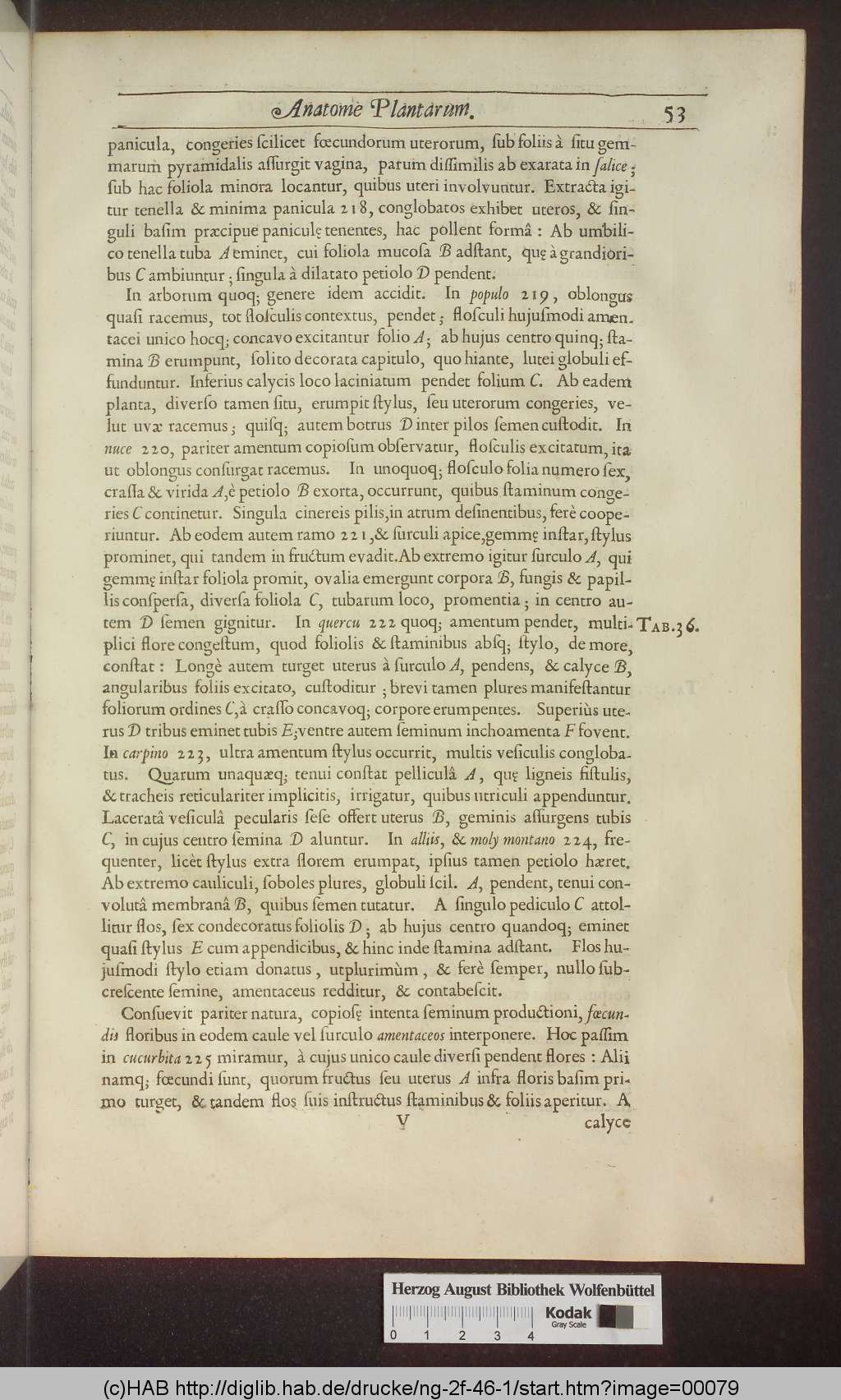 http://diglib.hab.de/drucke/ng-2f-46-1/00079.jpg