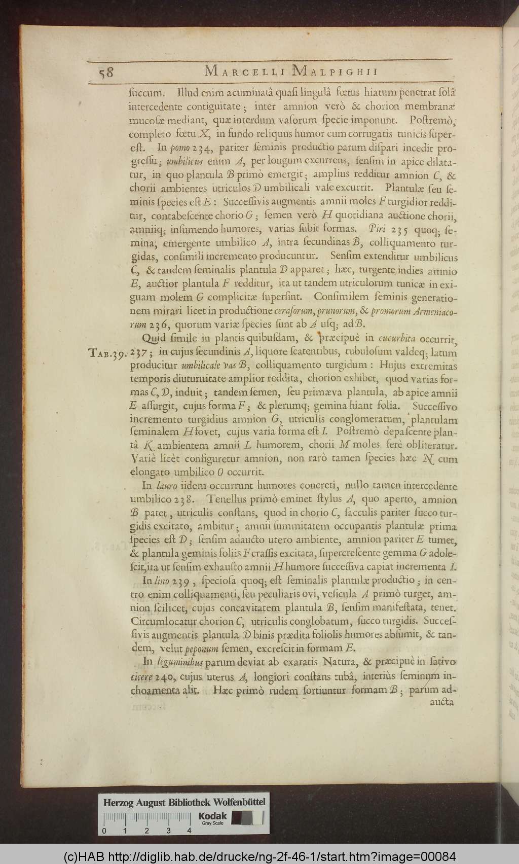 http://diglib.hab.de/drucke/ng-2f-46-1/00084.jpg