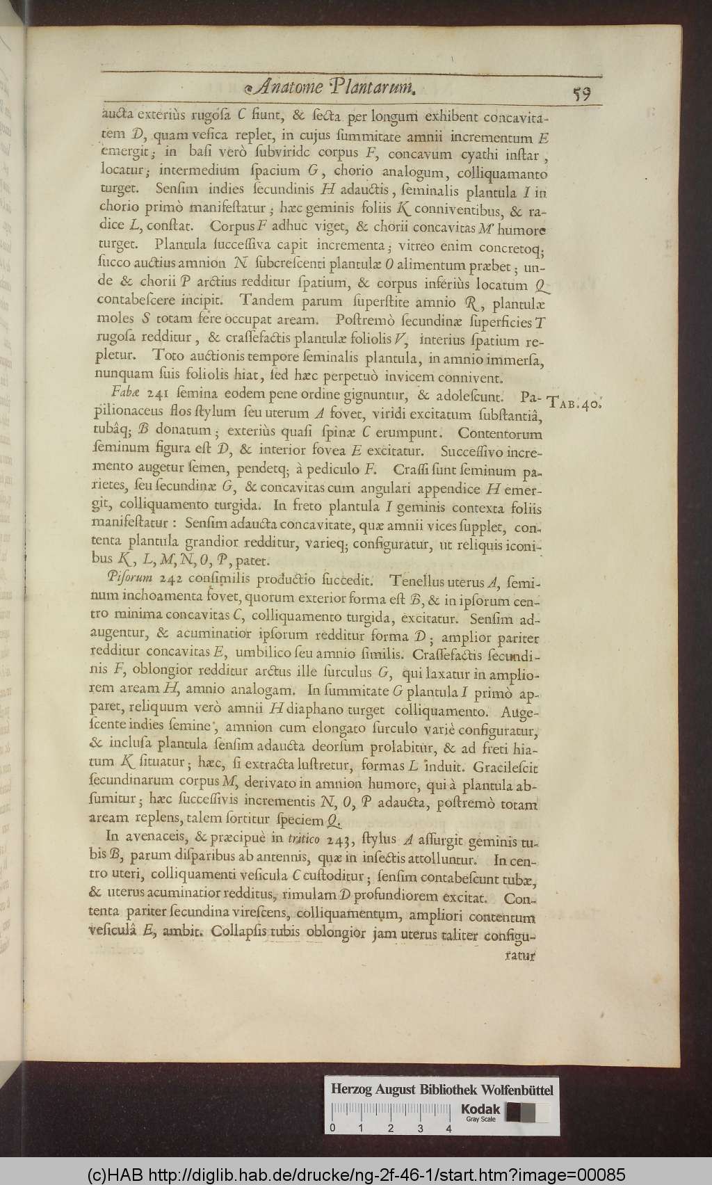 http://diglib.hab.de/drucke/ng-2f-46-1/00085.jpg