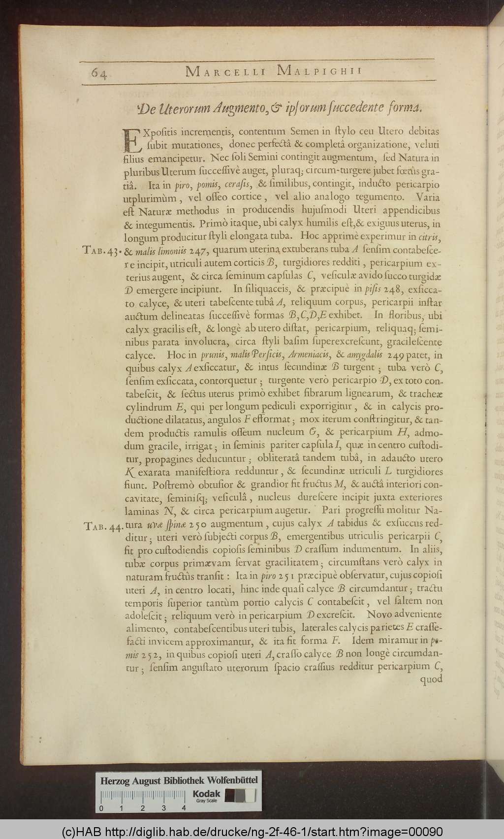 http://diglib.hab.de/drucke/ng-2f-46-1/00090.jpg