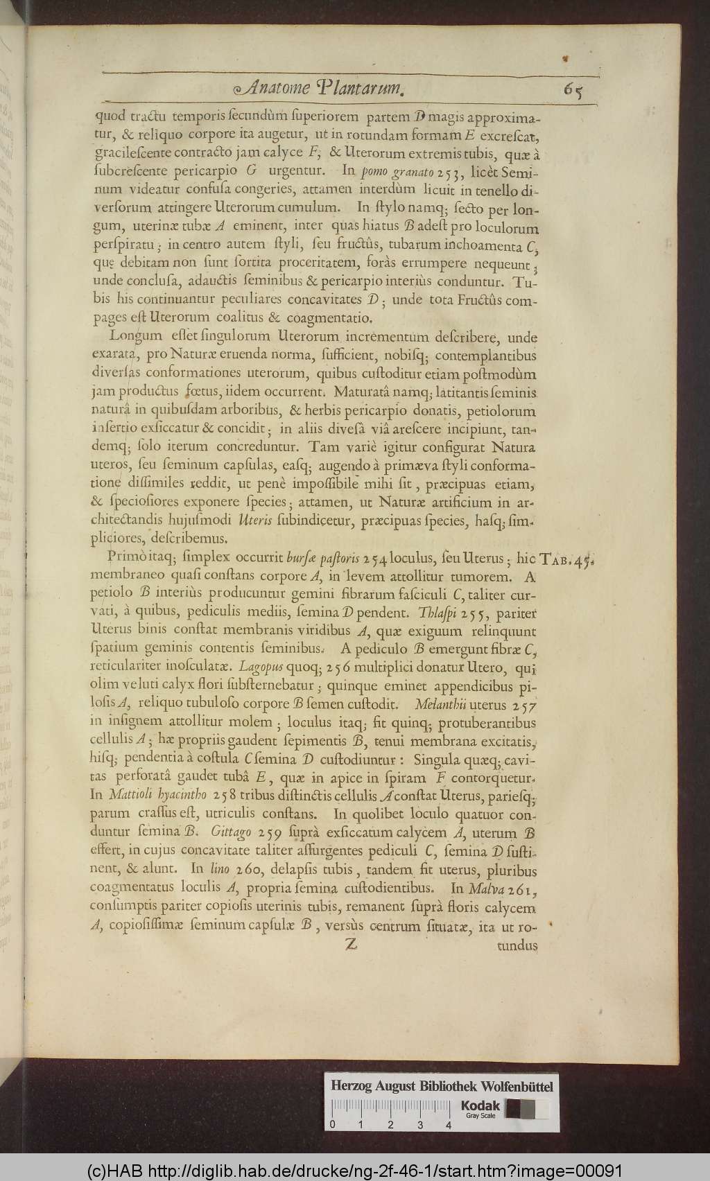 http://diglib.hab.de/drucke/ng-2f-46-1/00091.jpg