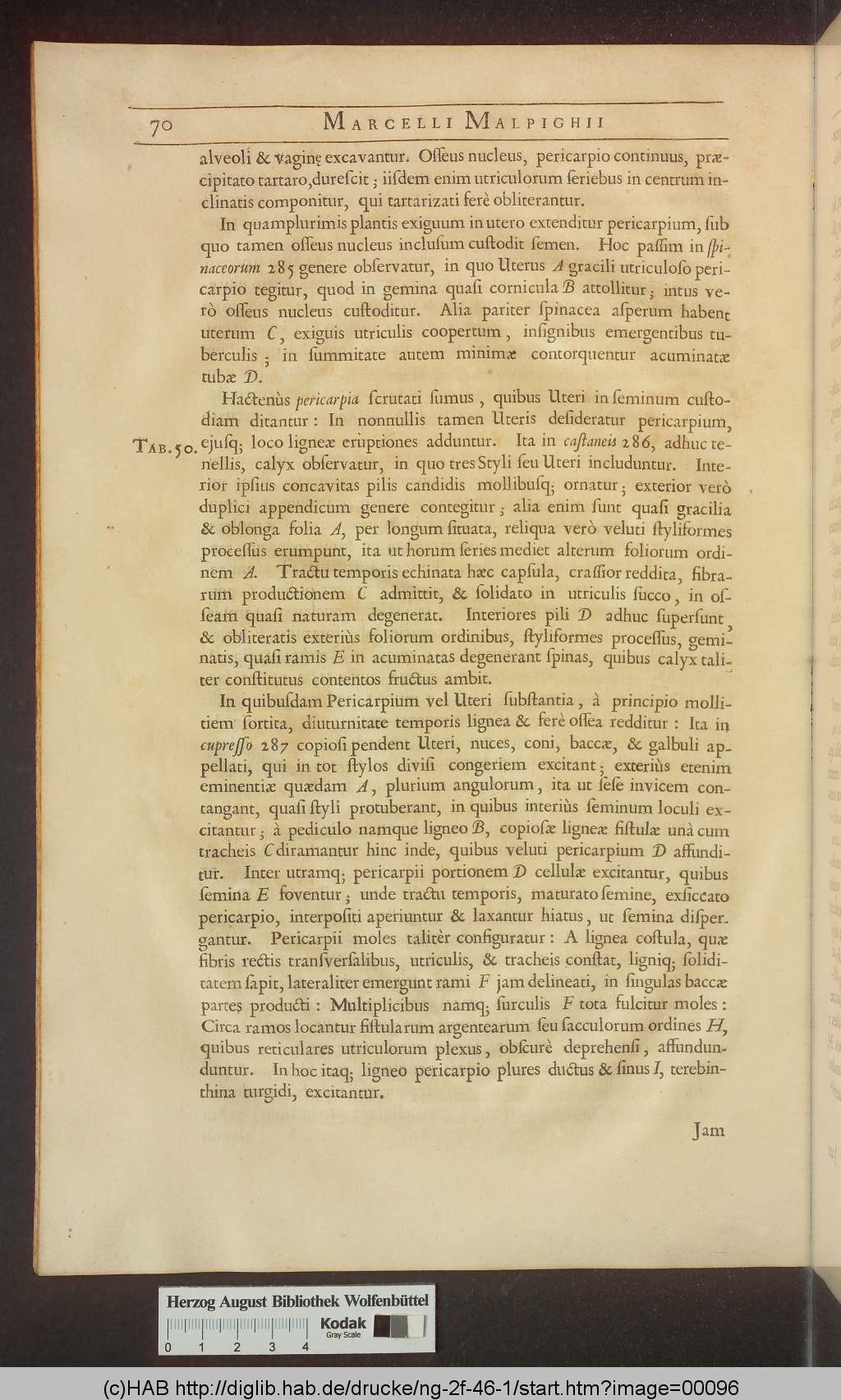 http://diglib.hab.de/drucke/ng-2f-46-1/00096.jpg