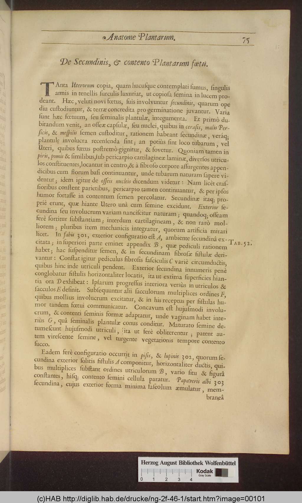 http://diglib.hab.de/drucke/ng-2f-46-1/00101.jpg