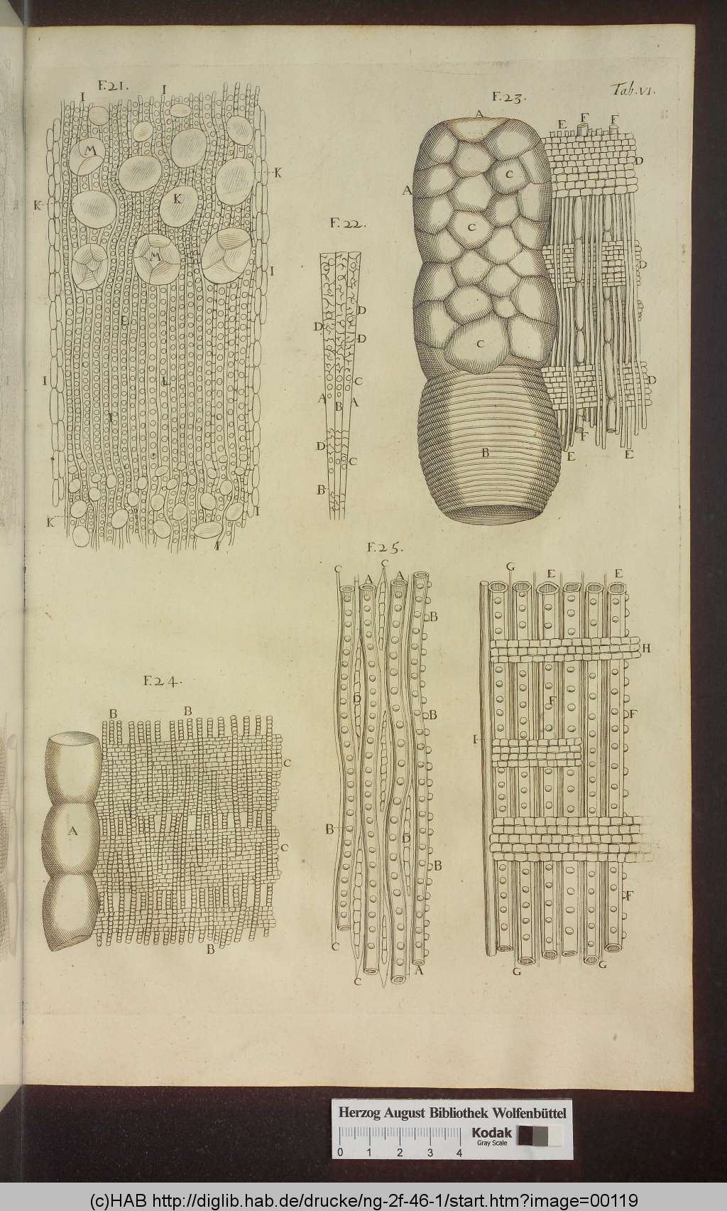 http://diglib.hab.de/drucke/ng-2f-46-1/00119.jpg