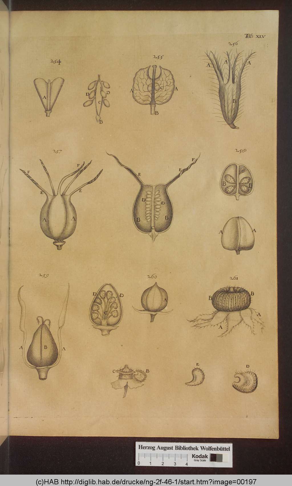 http://diglib.hab.de/drucke/ng-2f-46-1/00197.jpg