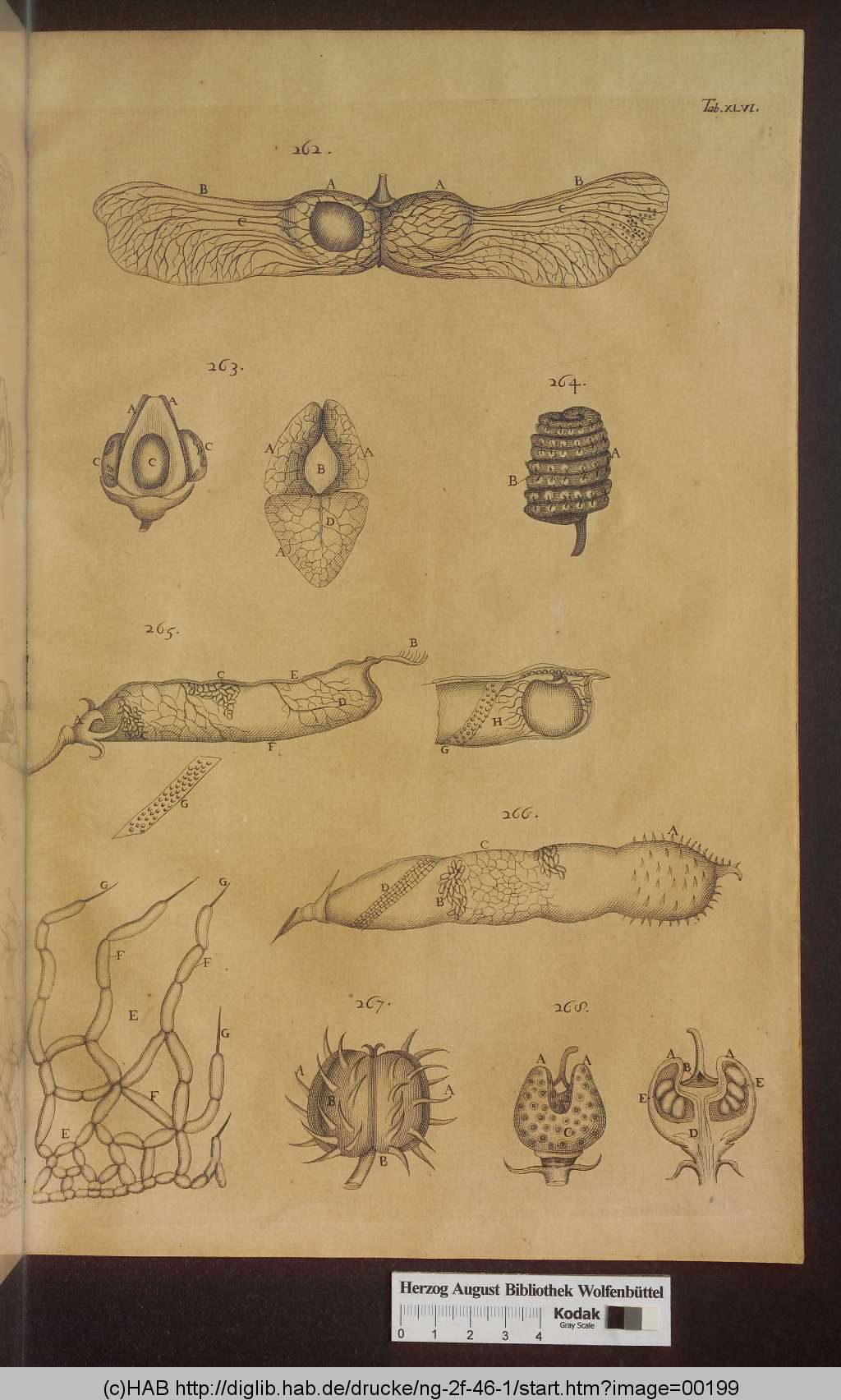 http://diglib.hab.de/drucke/ng-2f-46-1/00199.jpg