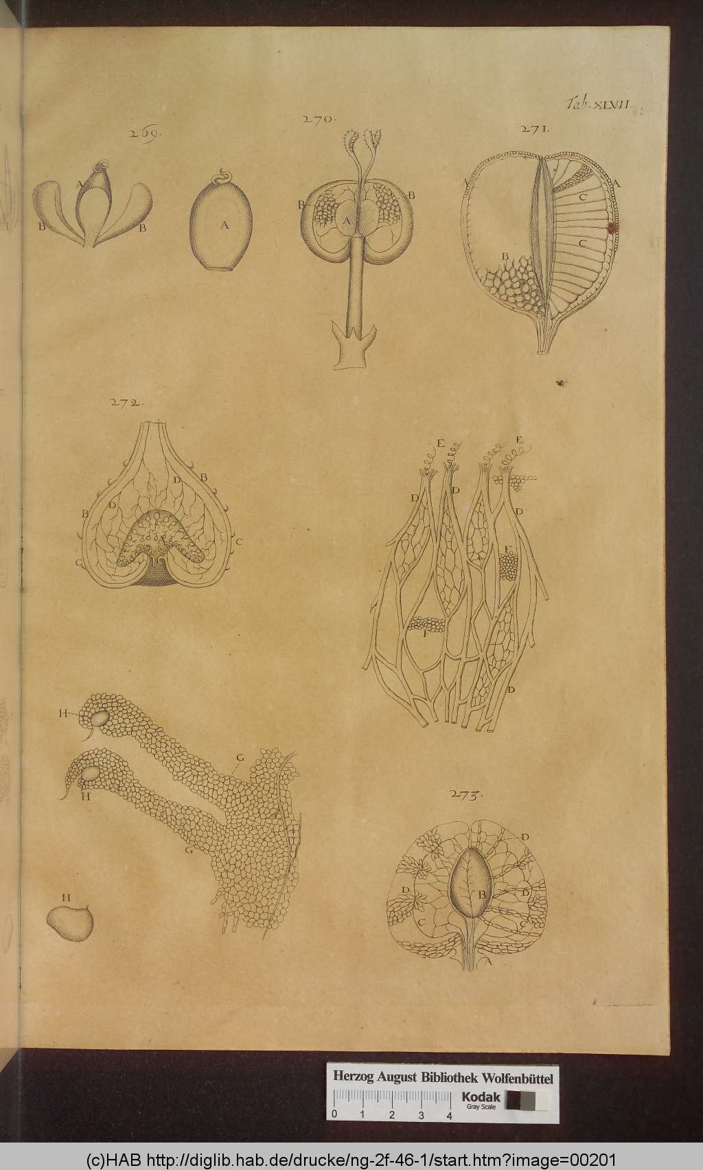 http://diglib.hab.de/drucke/ng-2f-46-1/00201.jpg