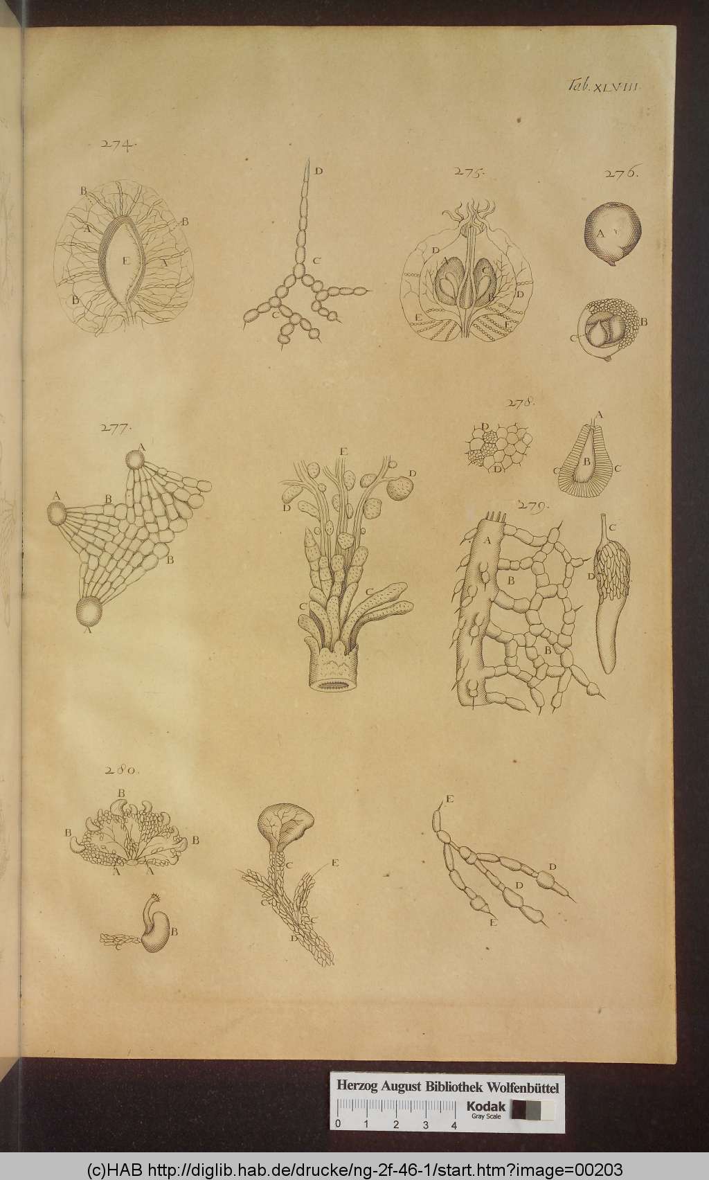 http://diglib.hab.de/drucke/ng-2f-46-1/00203.jpg