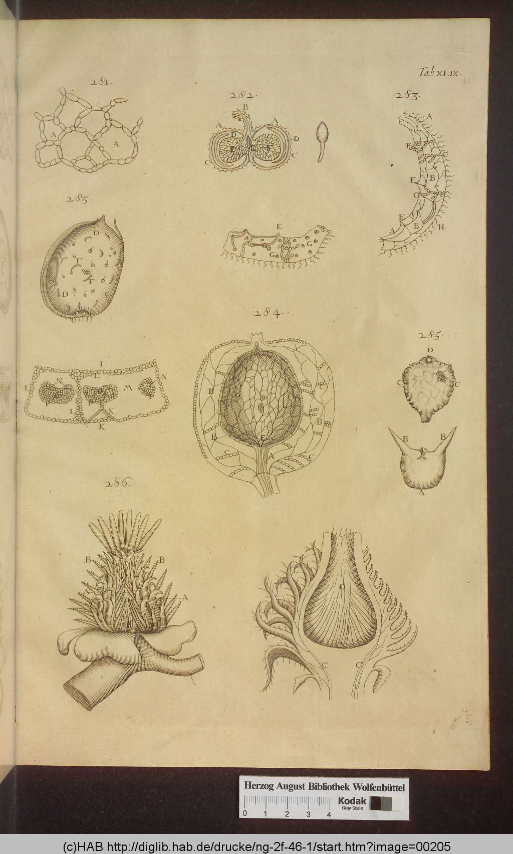 http://diglib.hab.de/drucke/ng-2f-46-1/00205.jpg
