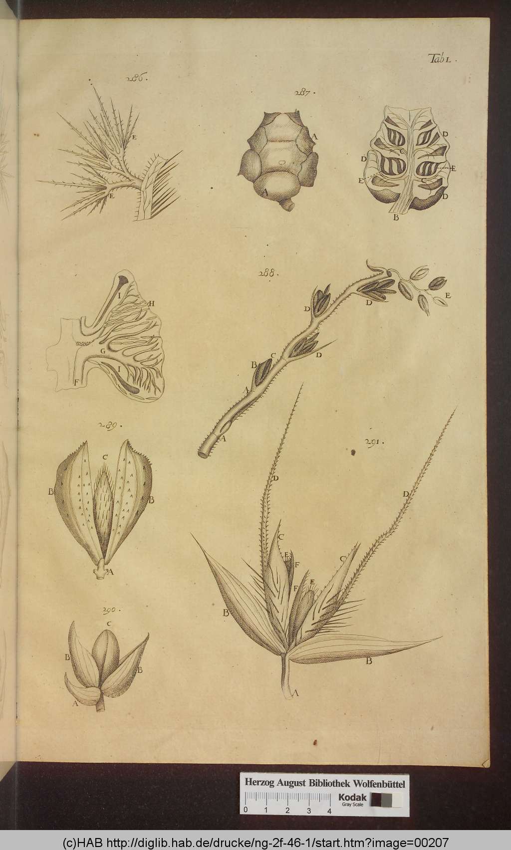 http://diglib.hab.de/drucke/ng-2f-46-1/00207.jpg